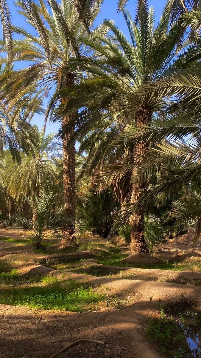 گرمترین شهر ایران در تابستان