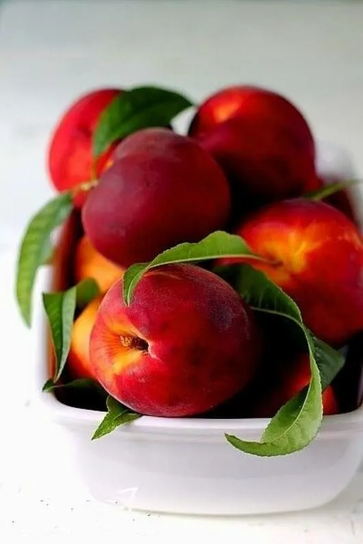 اسم ۱۰ تا میوه تابستانی