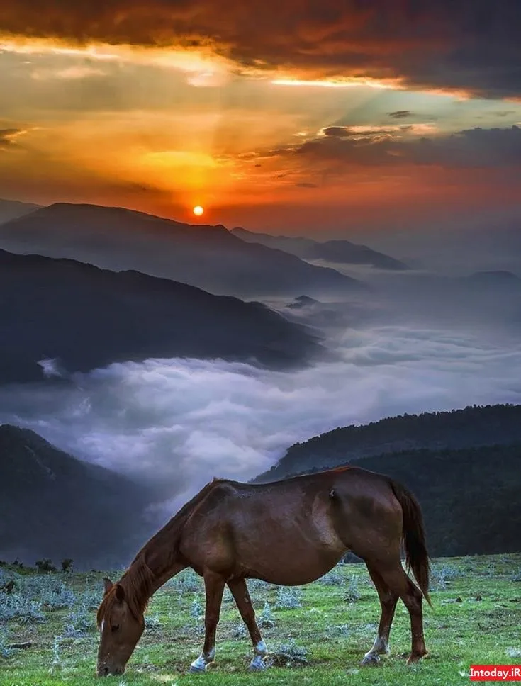 زیباترین جای شمال کجاست