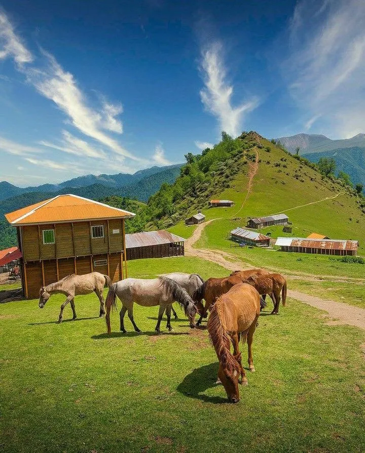 بهترین شهر ایران برای مسافرت در تابستان