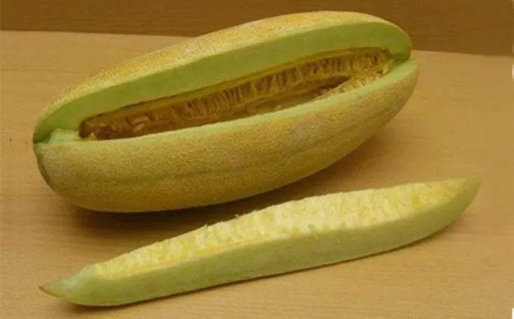 خربزه