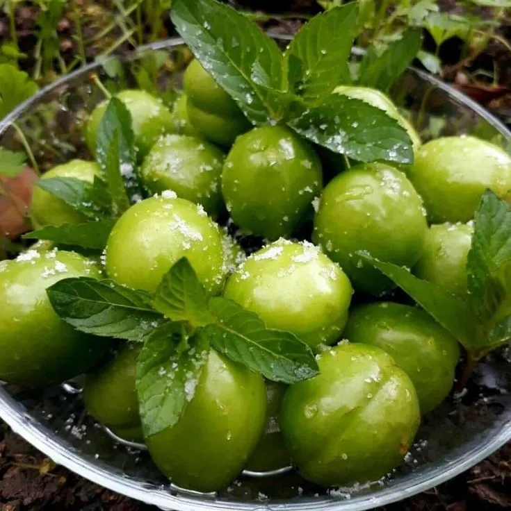 گوجه‌ سبز