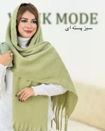 شال بیگ اسکارف کد h567 (10)